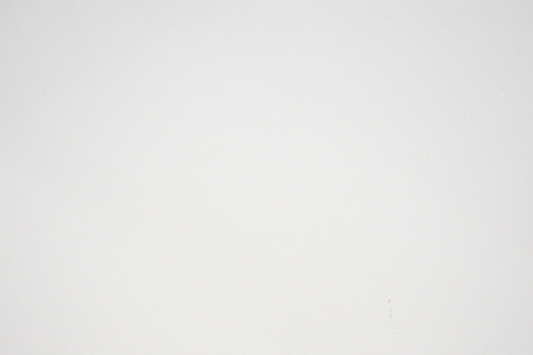 Bianco Sivec Marble Panel