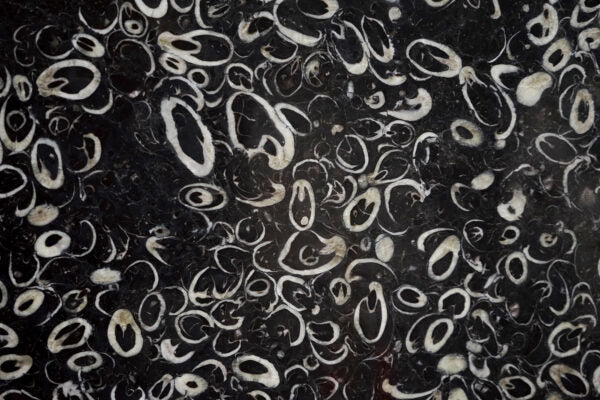 Black Flower Marble Panel