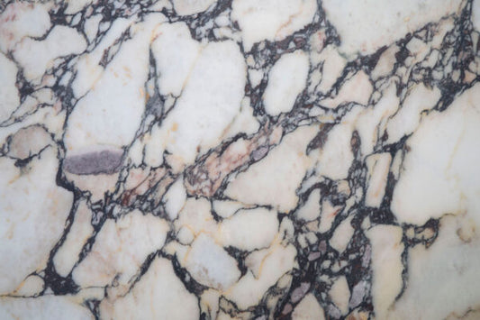 Calacatta Viola Marble Panel